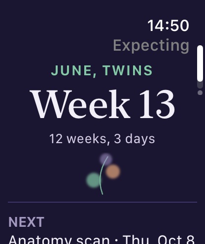 Pregnancy on the Watch: week 13, 12 weeks and 3 days, with the next appointment below.