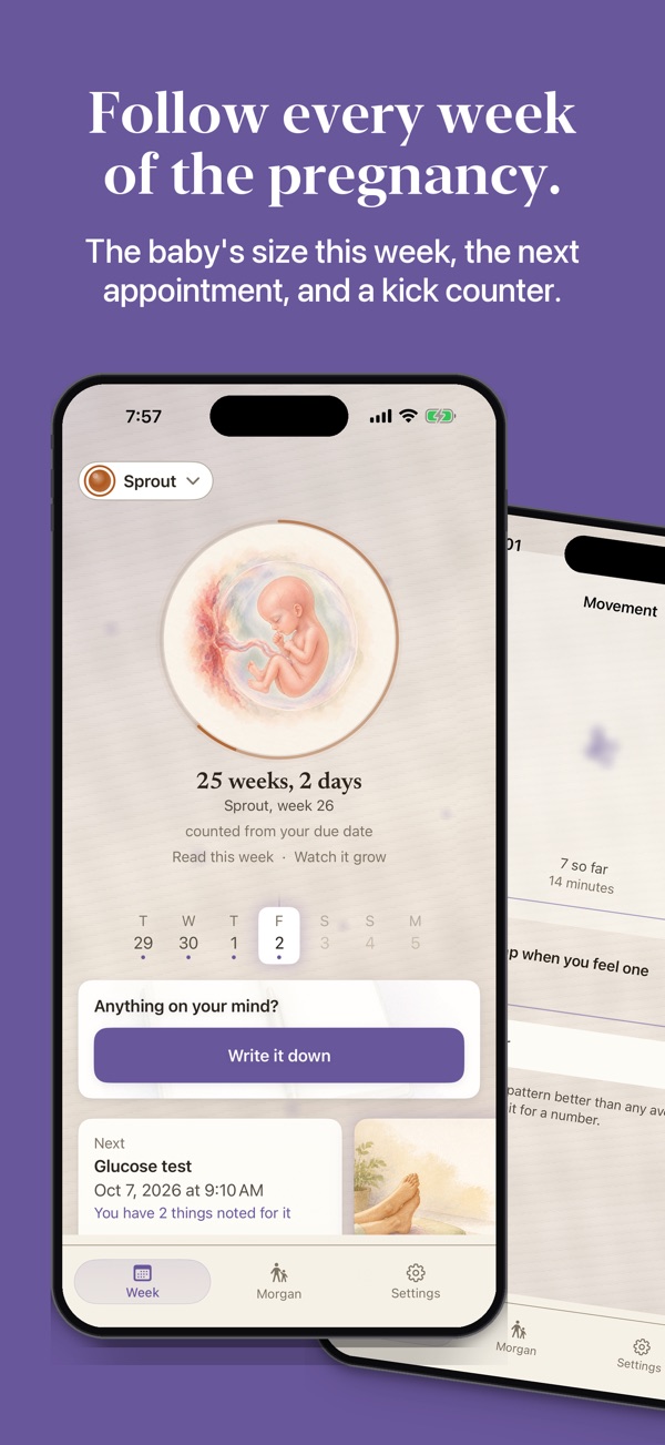 Follow every week of the pregnancy. The baby's size this week, the next appointment, and a kick counter. The pregnancy home at 25 weeks and 2 days with a watercolor of the baby, the next appointment, and the movement counter behind it.