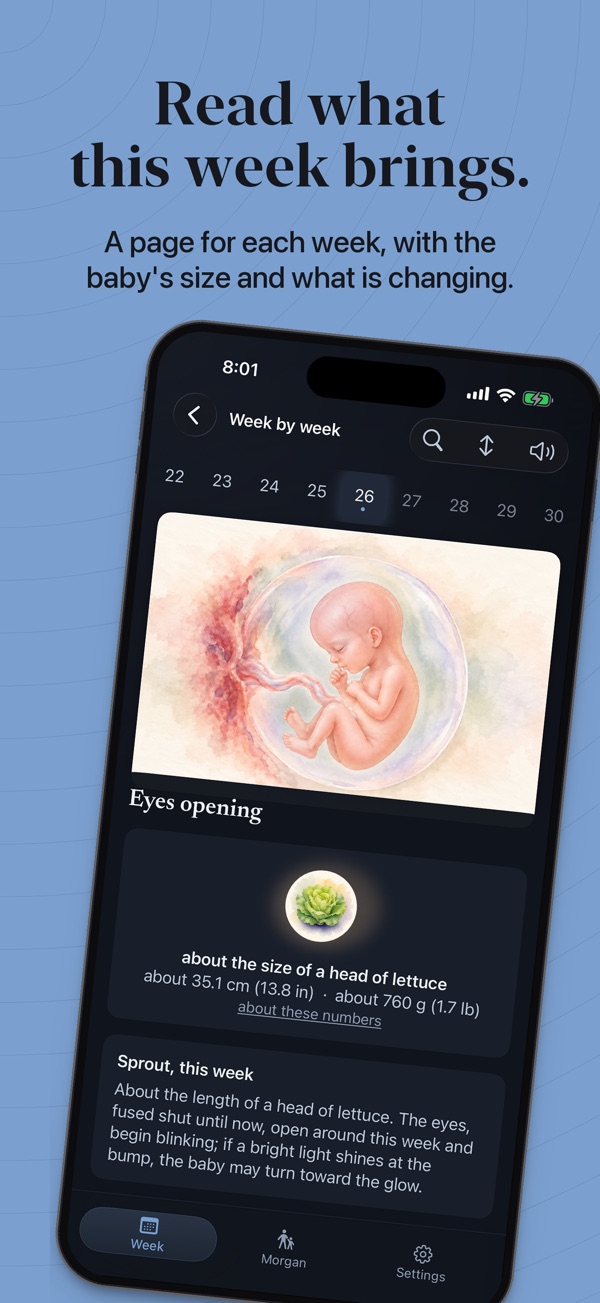 Read what this week brings. A page for each week, with the baby's size and what is changing. The week 26 page, with a watercolor of the baby and a note about the size of a head of lettuce.